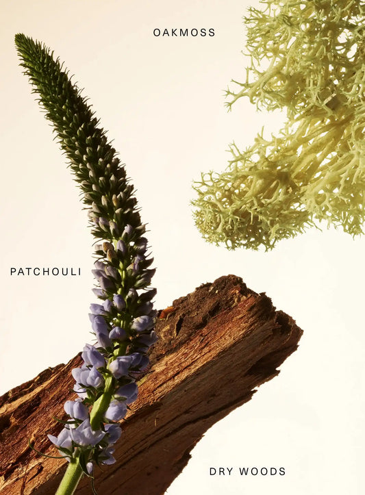 Fragrance Layering Balm - Woody Oak
